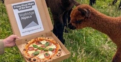 Introducing Friday Pizza Nights!